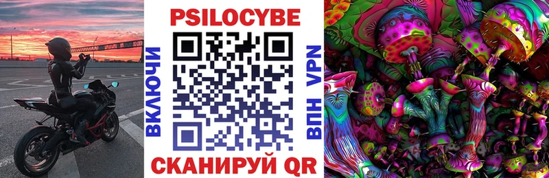 Галлюциногенные грибы Psilocybine cubensis  купить наркотик  Чапаевск 