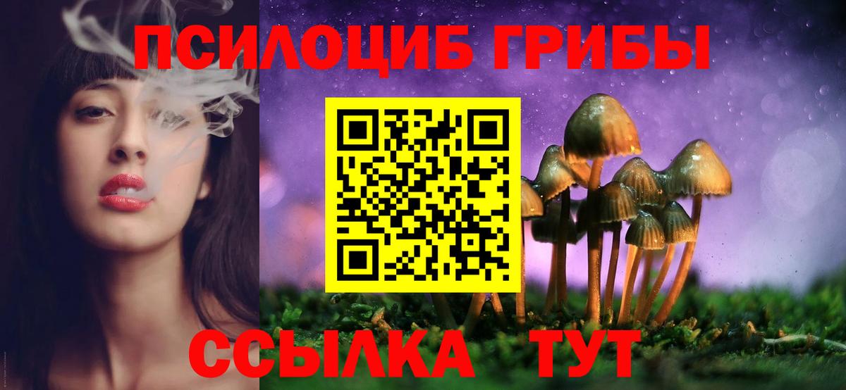 Галлюциногенные грибы GOLDEN TEACHER  Вход с VPN  Чапаевск 